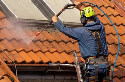 Démoussage et hydrofuge de toiture à Lutter